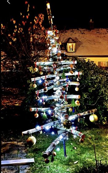 Weihnachtsbirke